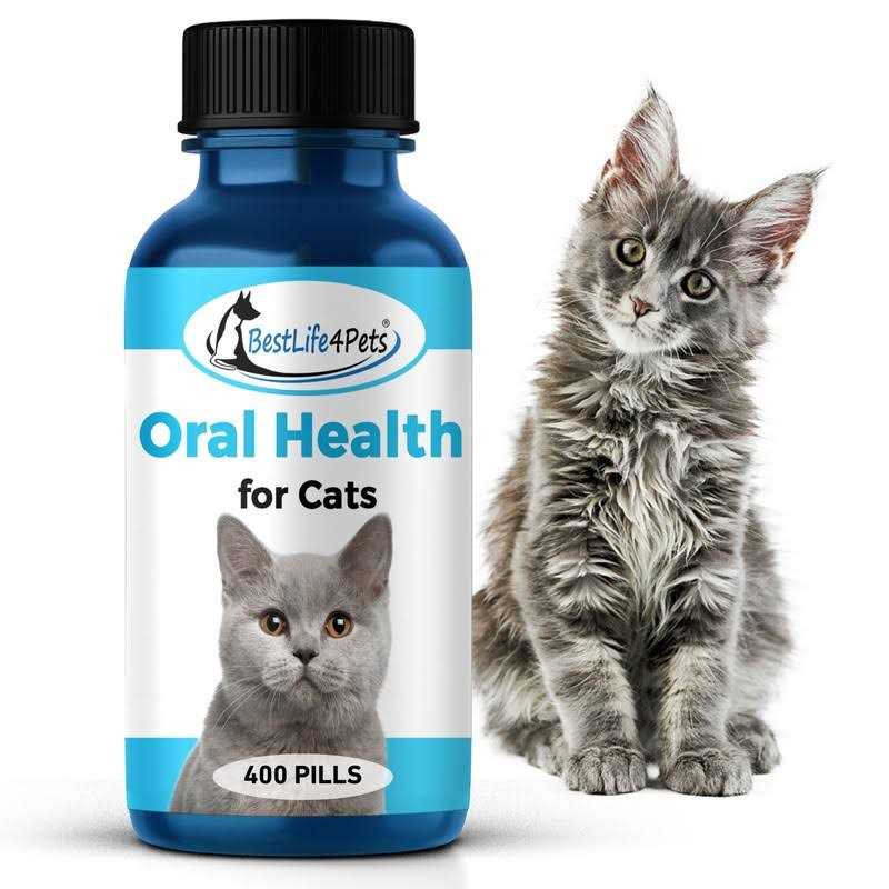 BestLife4Pets Oral Health for Cats Cat Dental Care Supplement Anti inflammatory Pain Relief for Stomatitis Gingivitis and Gum Disease Cat Supplies - Healthber