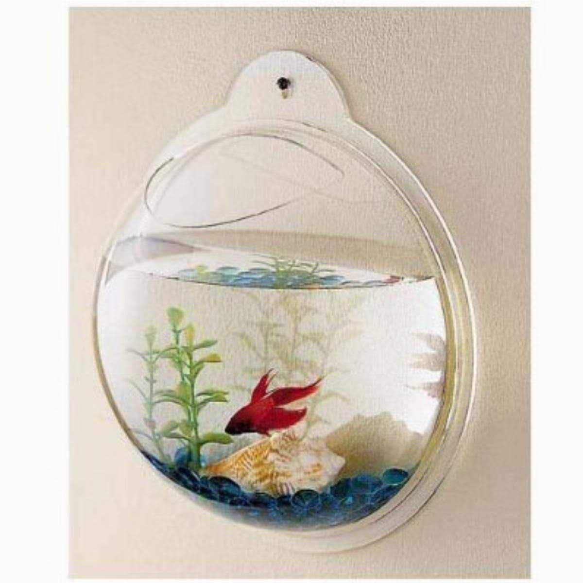 CNZ Wall Mounted Acrylic Fish Bowl - Healthber