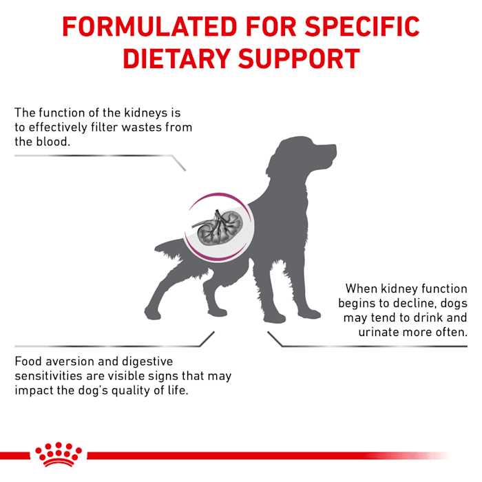 Royal Canin Veterinary Diet Renal Support Dry Dog Food - Healthber