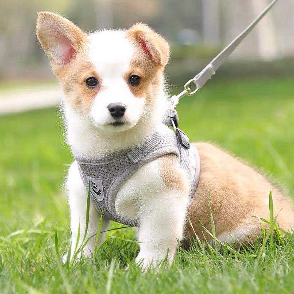 Feimax Dog Harness and Leash Set No-Pull Soft Mesh Vest Reflective Adjustable Pet Harnesses For Small - Healthber