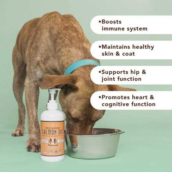 Natural Dog Company Wild Alaskan Salmon Oil for Dogs - Healthber