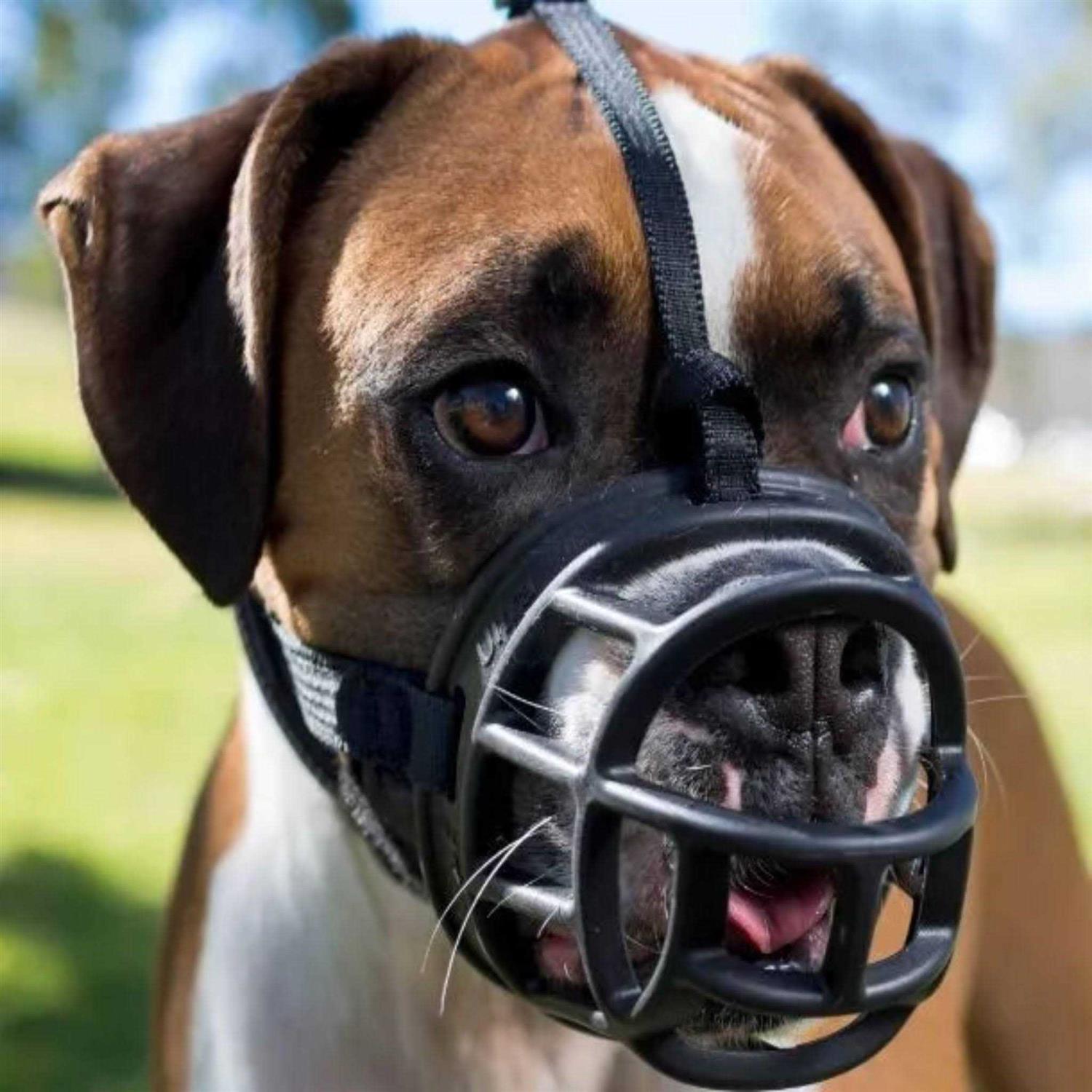 Baskerville Ultra Muzzle - Healthber