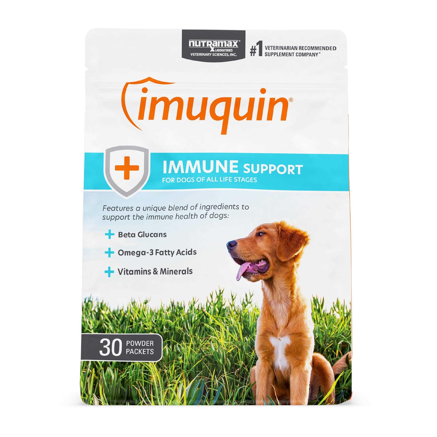 Nutramax Imuquin Immune Health Supplement Powder for Dogs - Healthber
