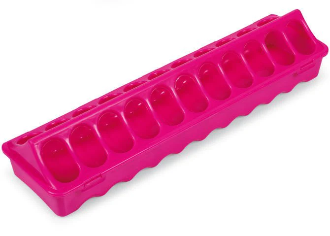 Ground Chicken Feeder, Large - Healthber