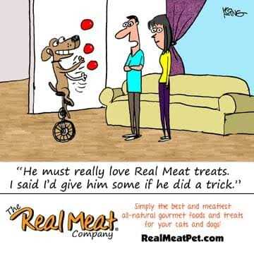 Real Meat Dog Jerky Treats Lamb - Healthber