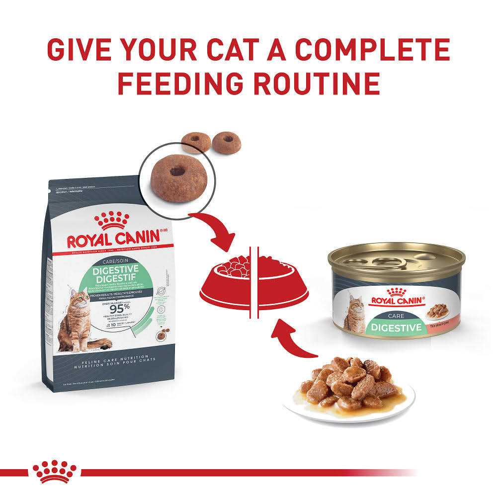 Royal Canin Feline Nutrition Digestive Sensitive Thin Slices in Gravy Canned Cat Food 3-oz - Healthber