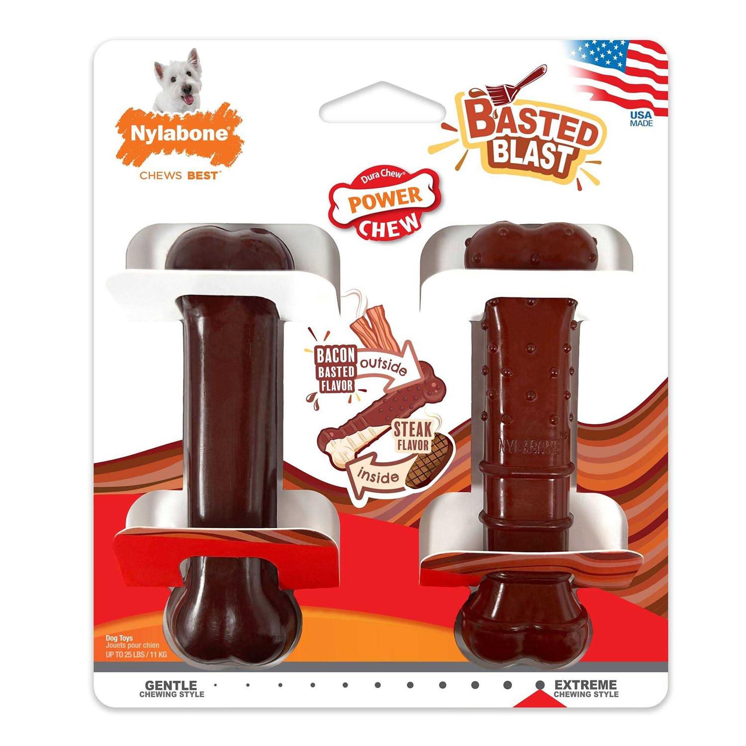 Nylabone Power Basted Blast Dual Flavored Dog Chew Toys - Healthber