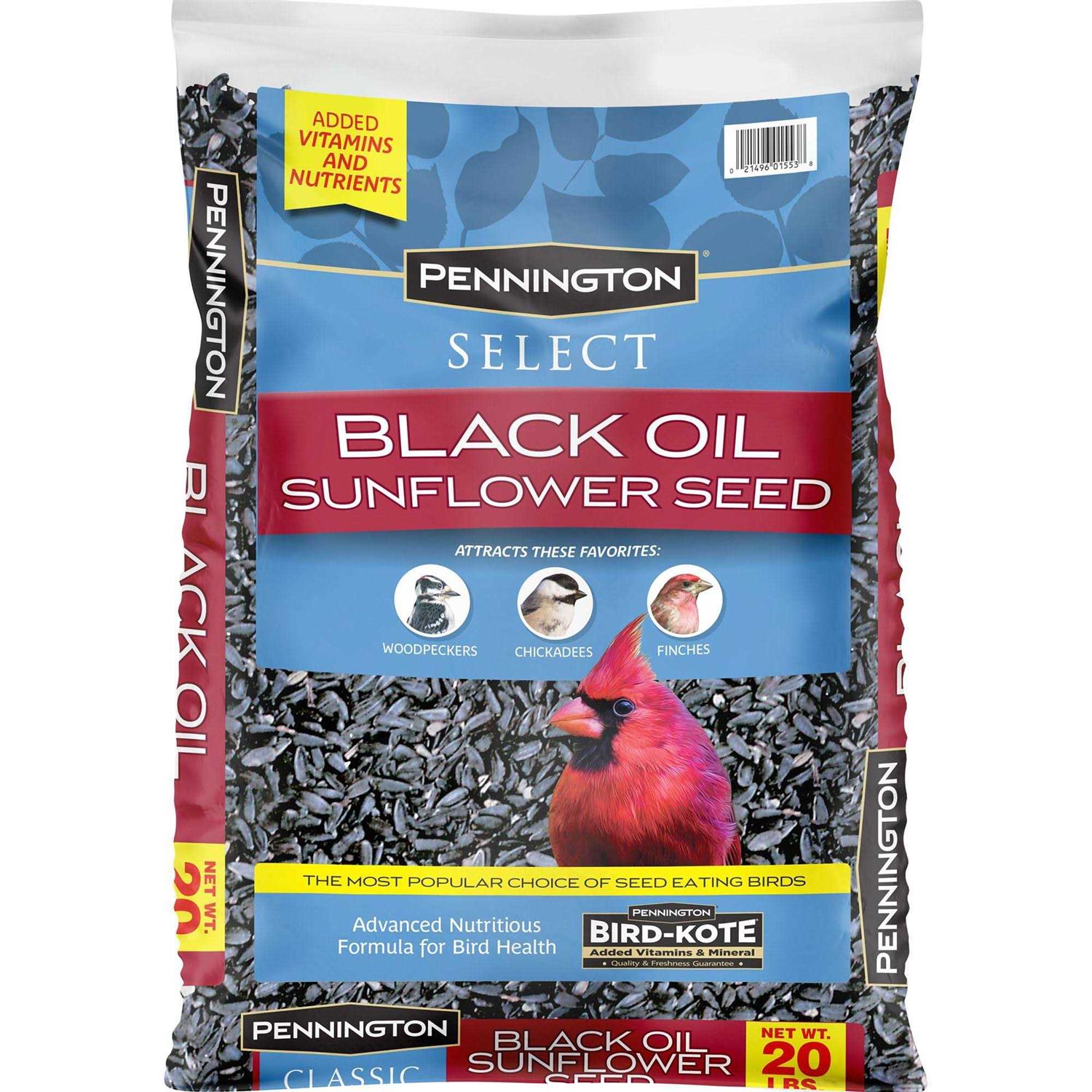 Pennington Select Black Oil Sunflower Seed Wild Bird Feed - Healthber