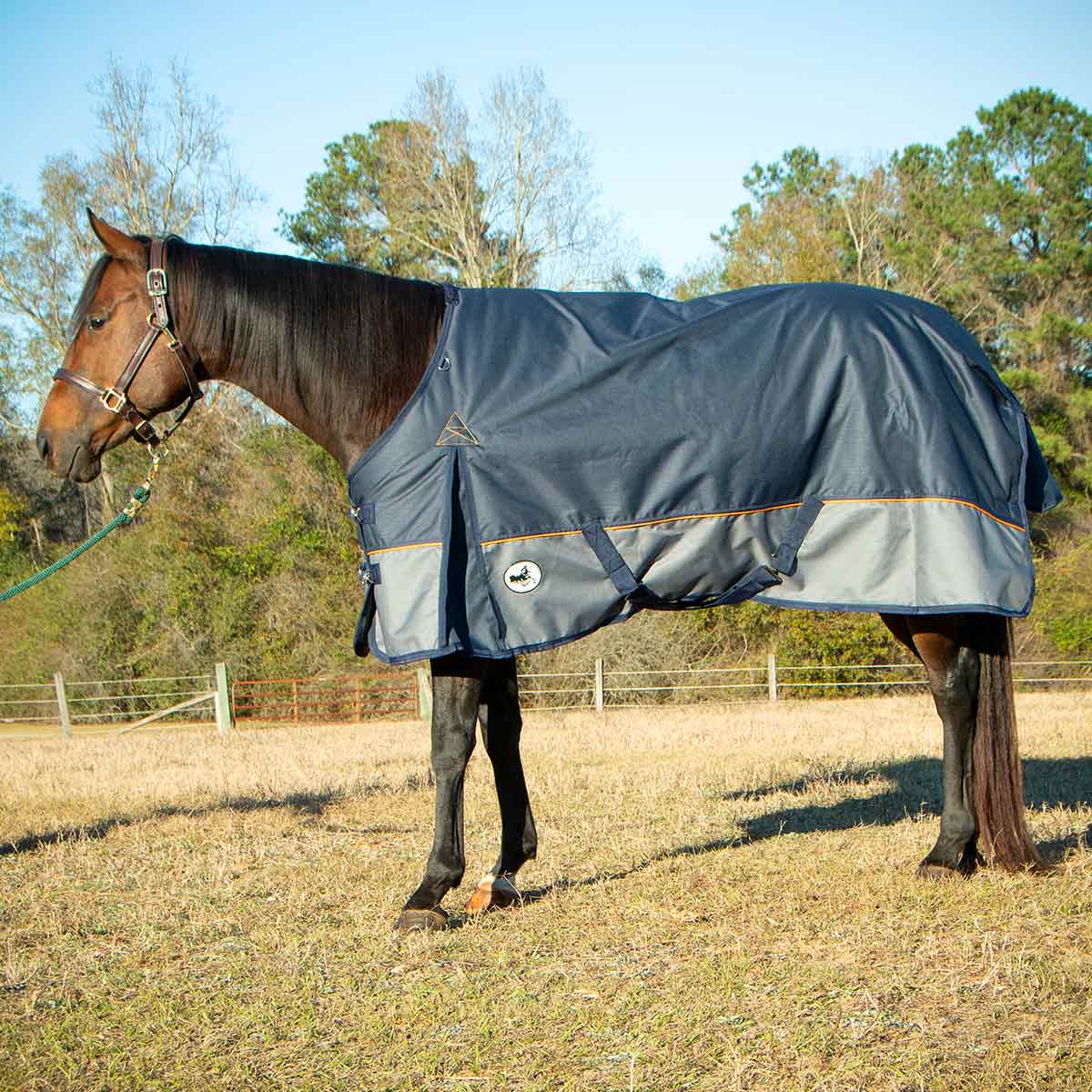 Economy Plus 1200 Denier Turnout Blanket with Standard Neck, 240 Gram, Navy & Gray - Healthber
