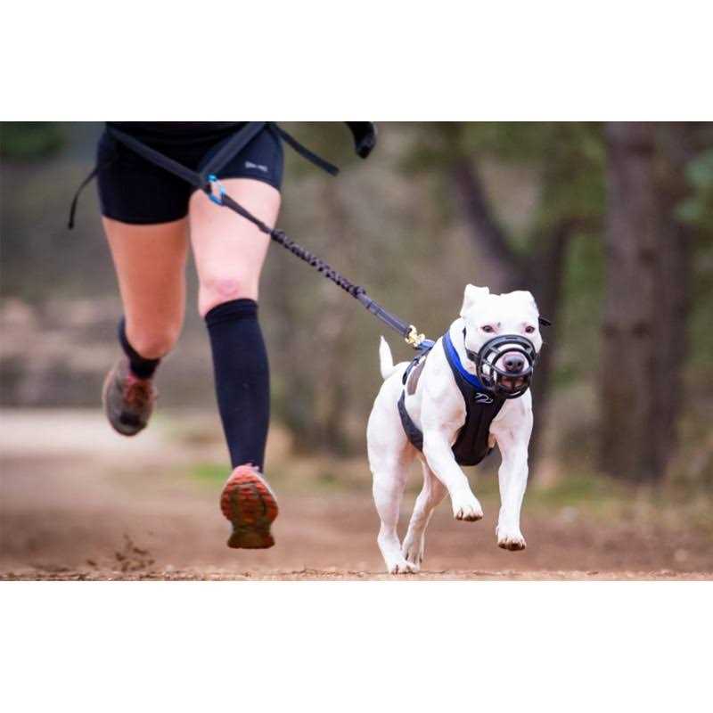 Mayerzon Dog Muzzle, Basket Breathable Silicone Dog Muzzle for Anti-Barking and Anti-Chewing - Healthber
