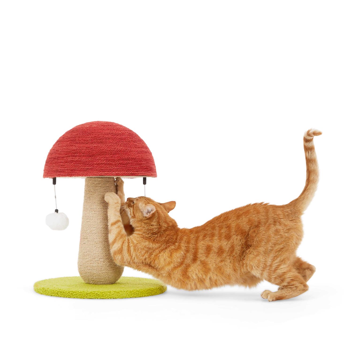EveryYay Toadstool Scratch Post for Cats - Healthber