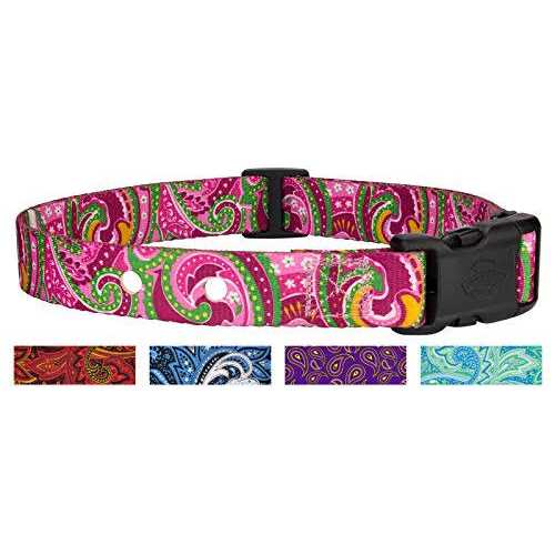 Country Brook Design Country Brook Petz Replacement Collar For Dog Fence Receivers - Healthber