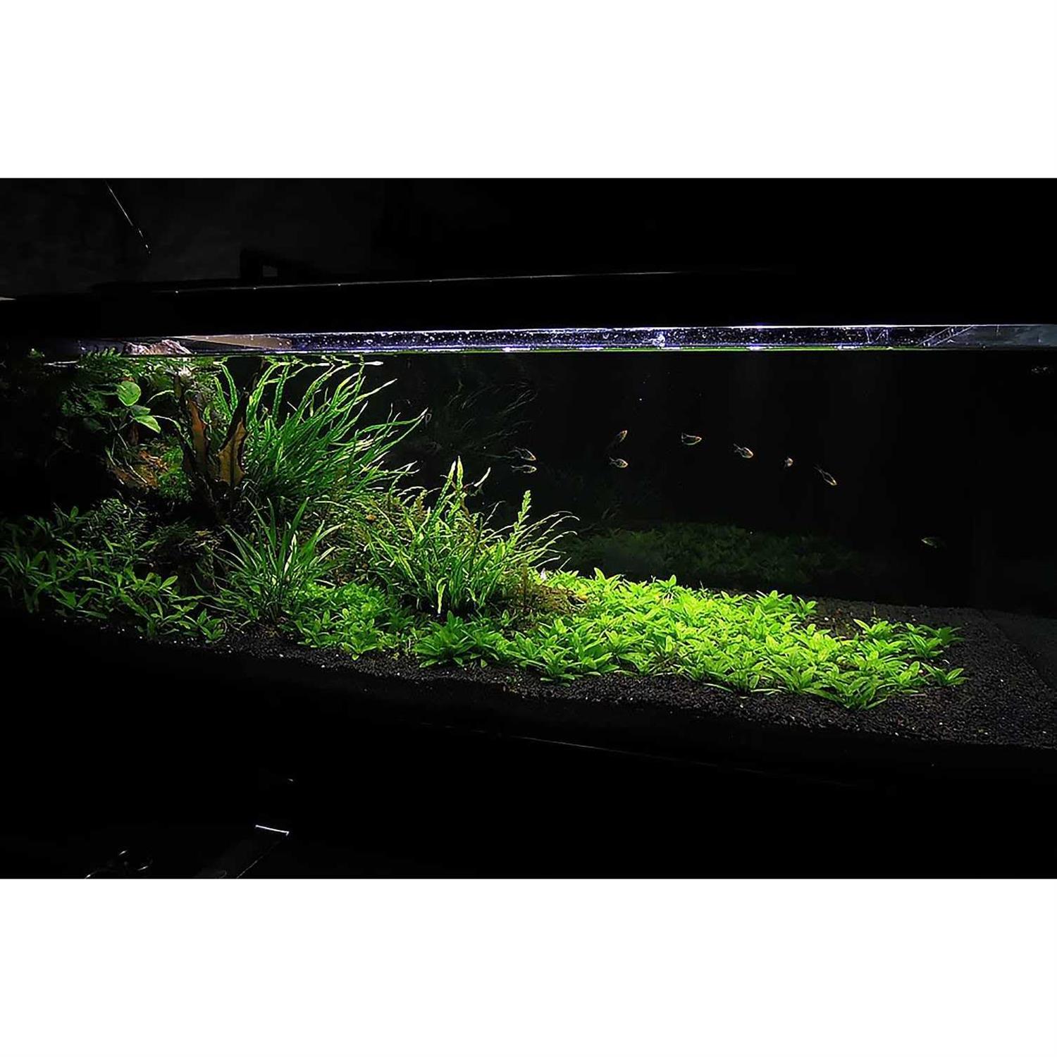 Ultum Nature Systems Controsoil Substrate - Healthber