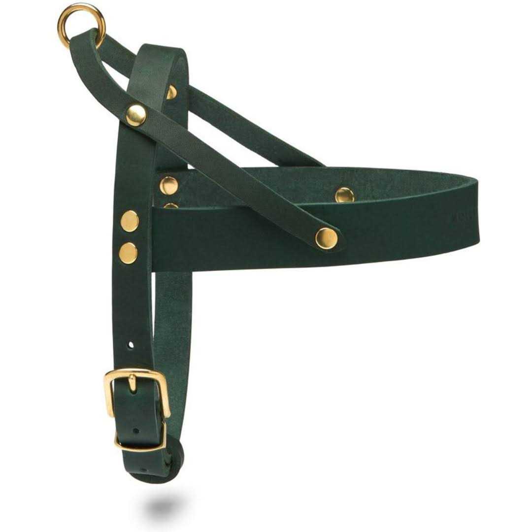 Butter Leather Dog Harness Molly And Stitch US - Healthber