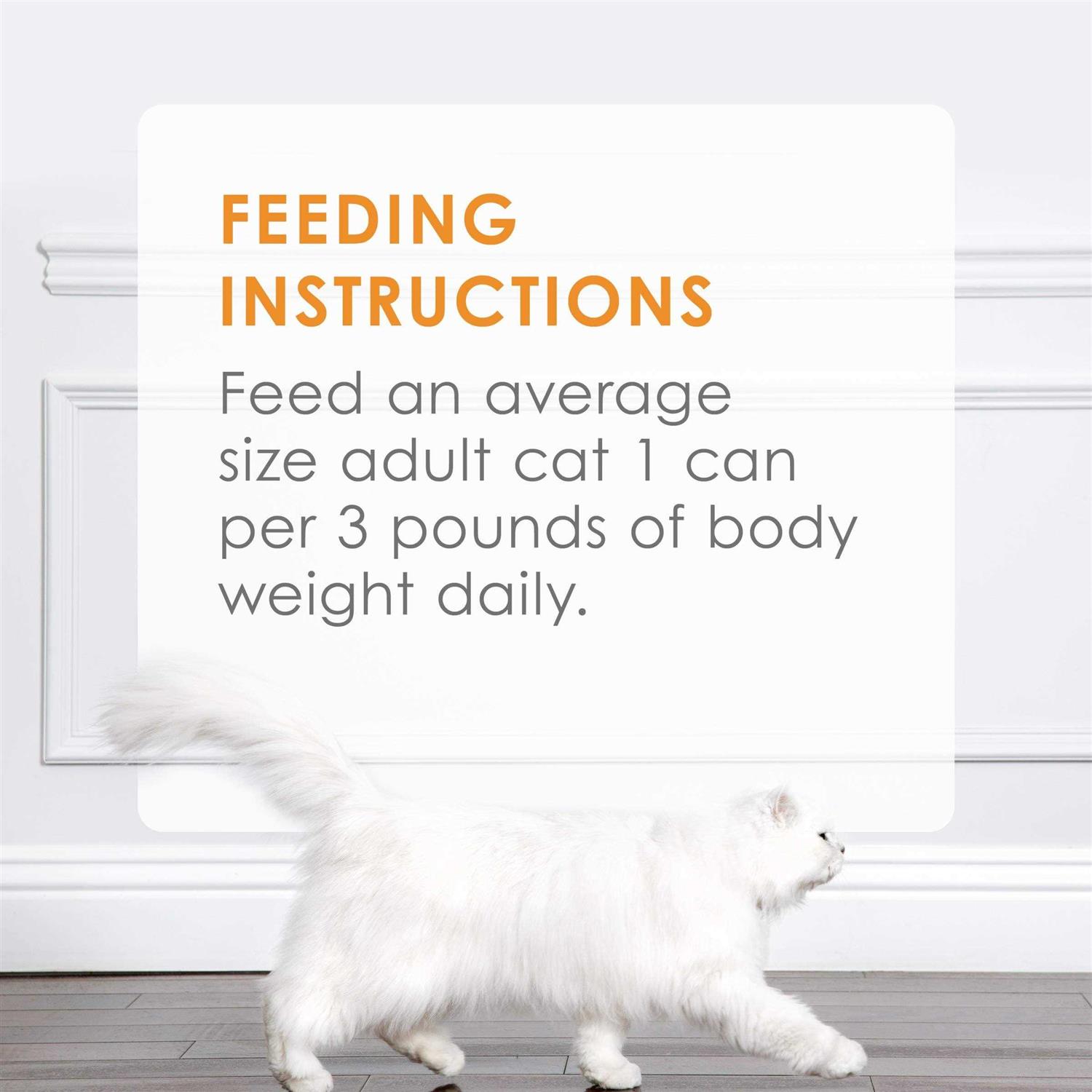 Purina Fancy Feast Wet Cat Food Sliced - Healthber