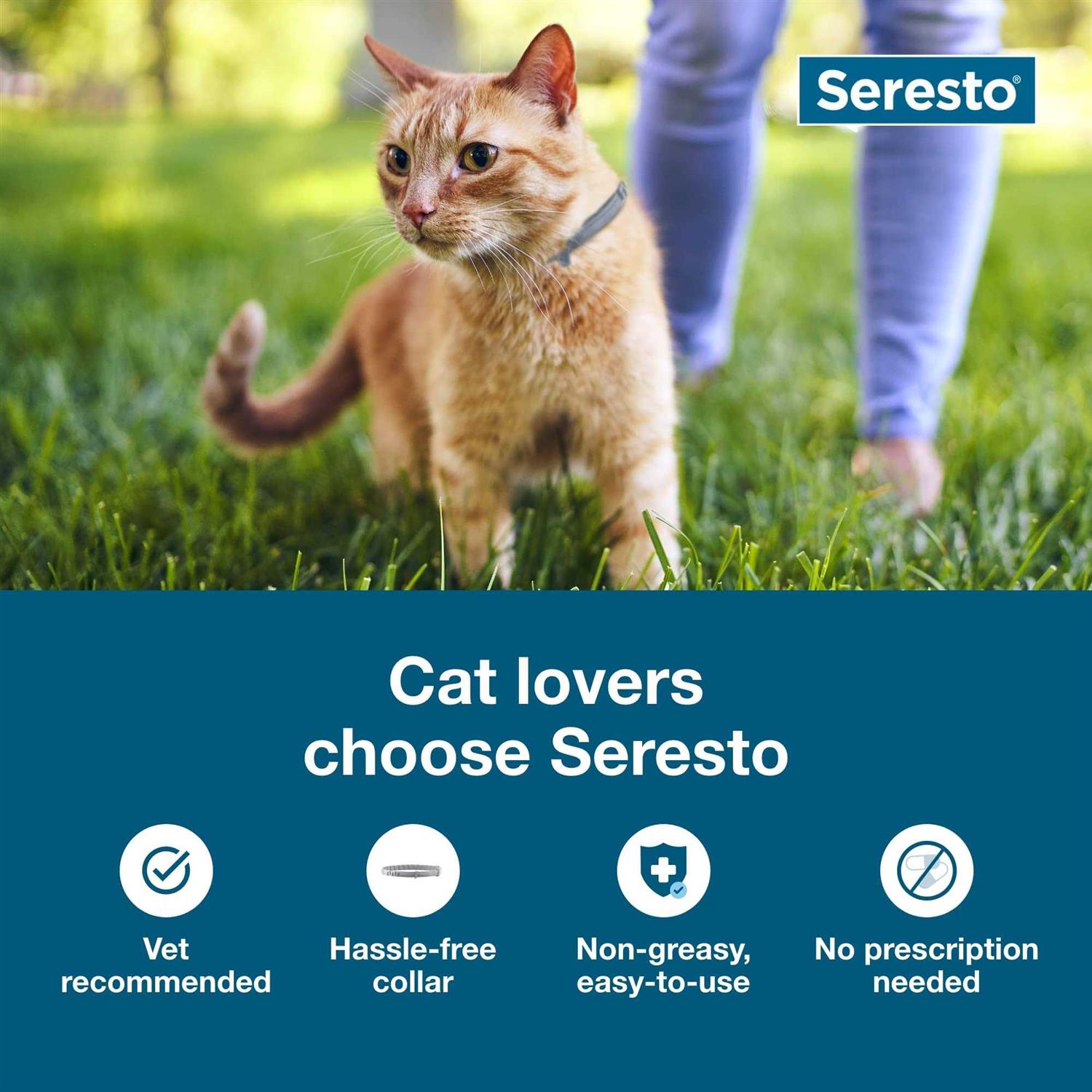 Bayer Seresto 8 Month Flea & Tick Prevention Collar for Cats - Healthber