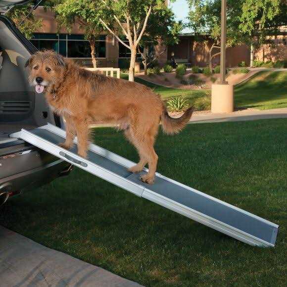 Top Paw Deluxe Telescoping Pet Ramp in Grey - Healthber