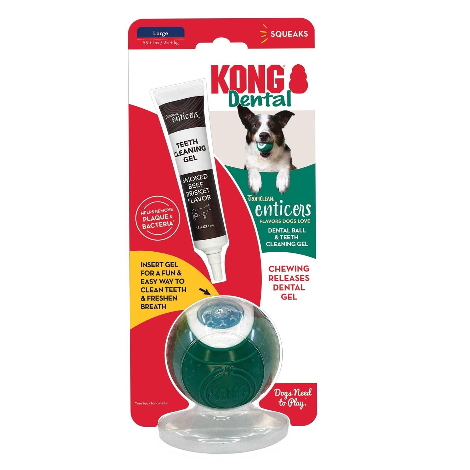 Kong Dental Ball & Teeth Cleaning Gel Dog Toy - Healthber