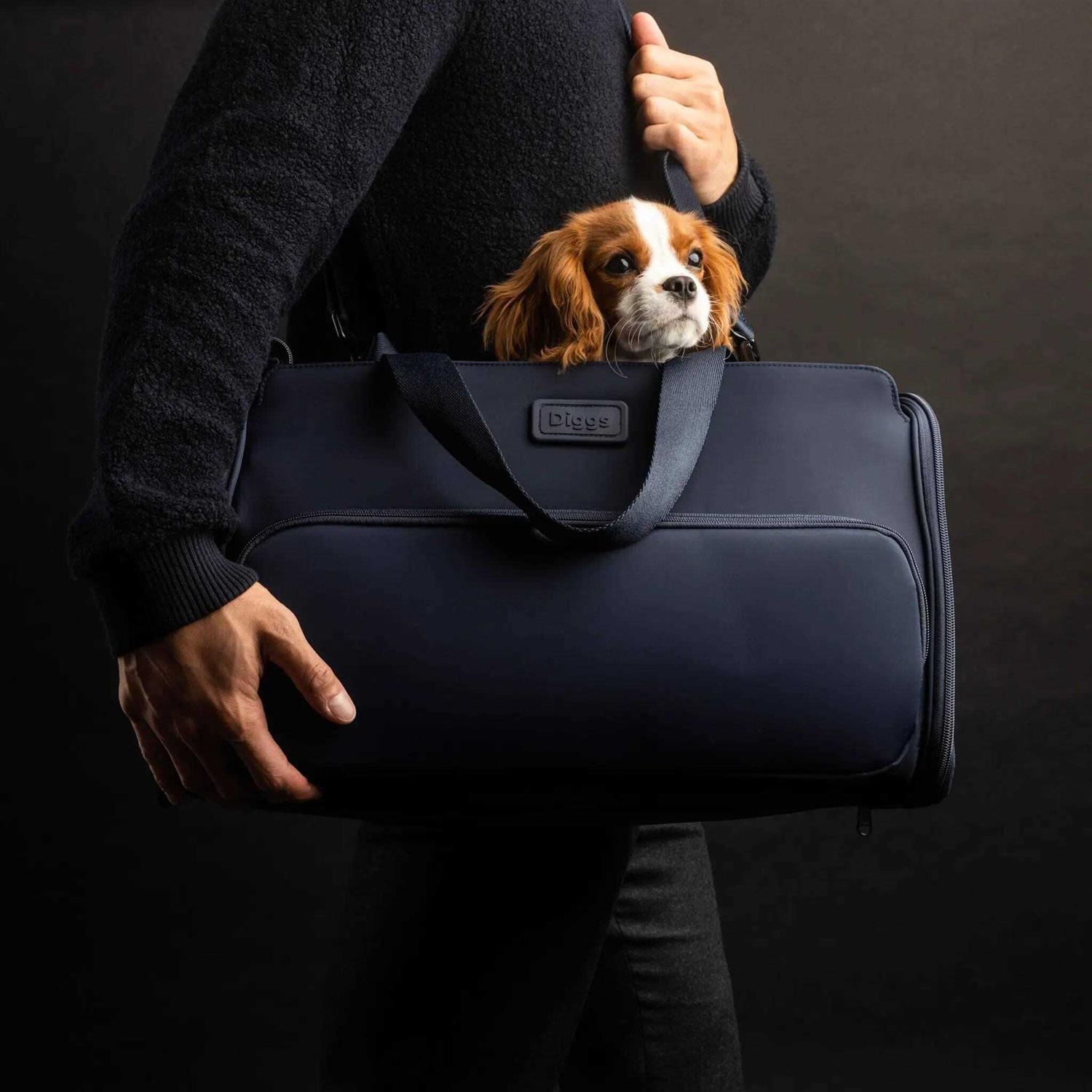 Diggs Travel Pet Carrier for Small Dogs and Cats, Plane, Train, or Car - Healthber