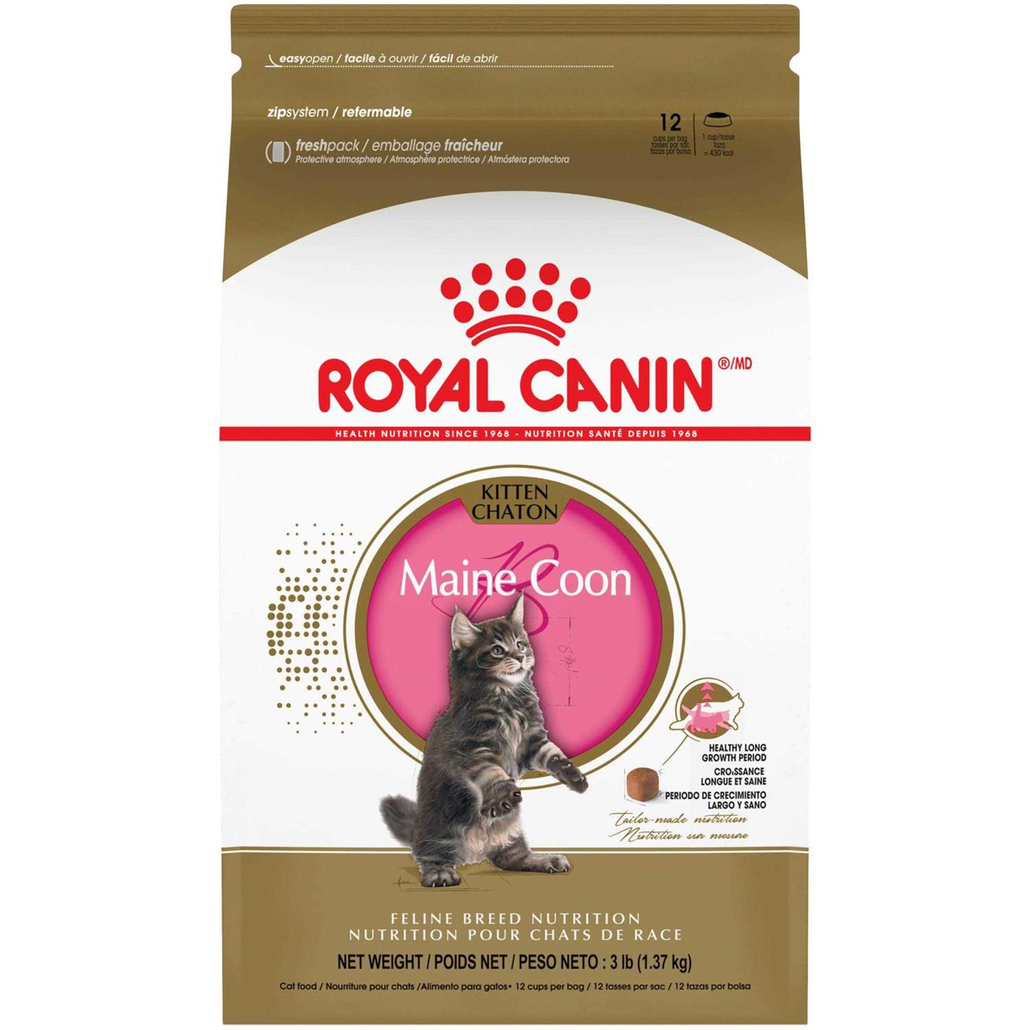 Royal Canin Maine Coon Kitten Dry Cat Food - Healthber