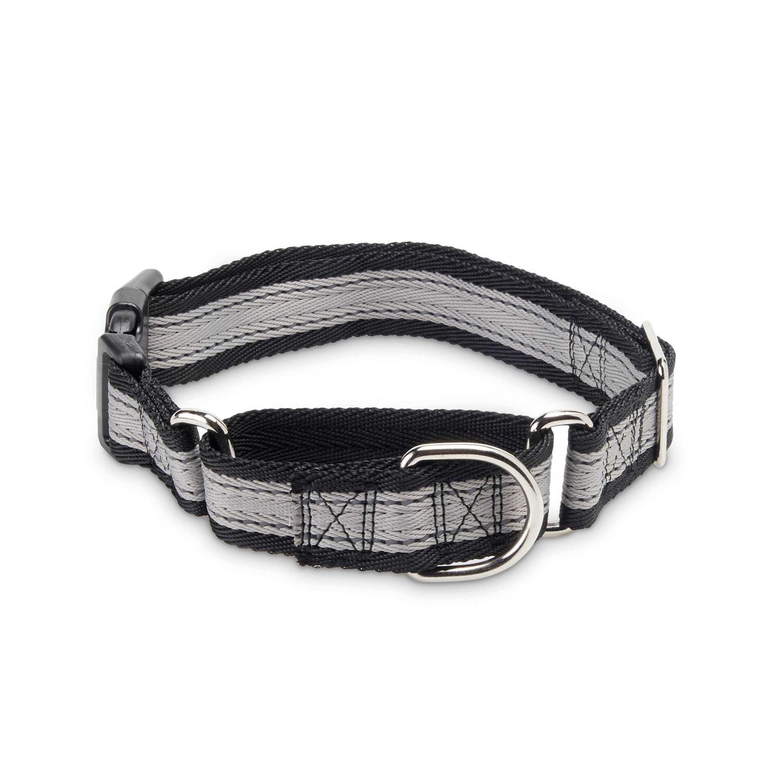 Vibrant Life Control Dog Collar - Healthber