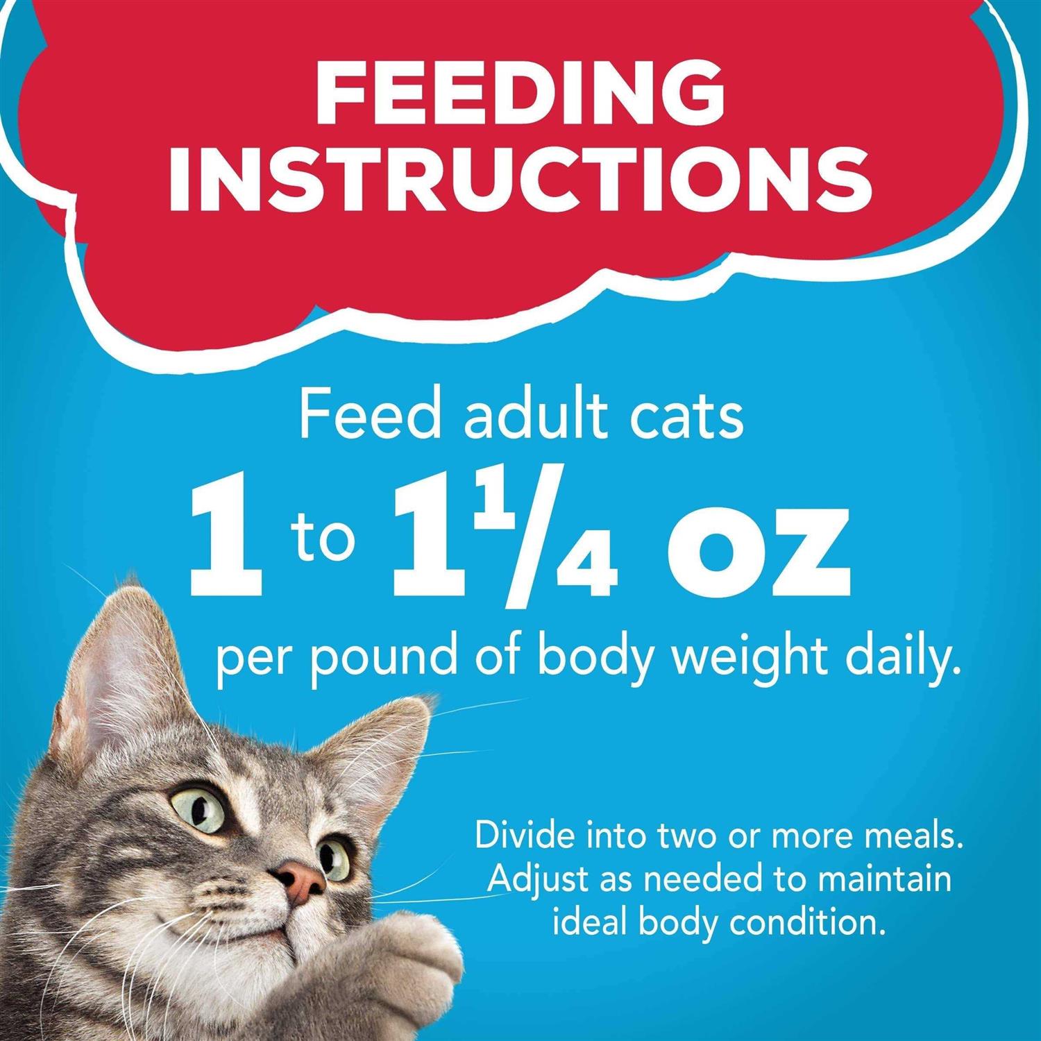 Friskies Prime Filets With Ocean Whitefish & Tuna in Sauce Wet Cat Food - Healthber