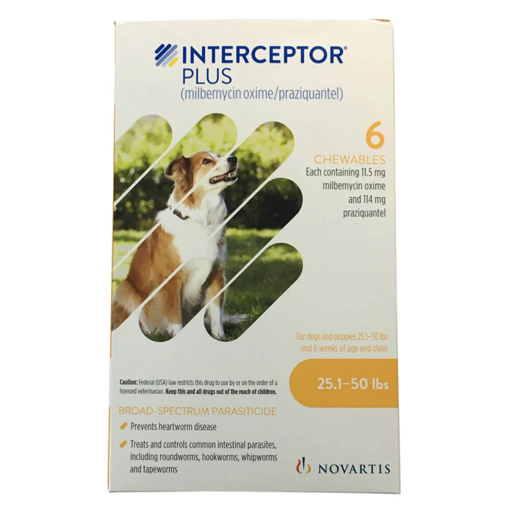 Rx Interceptor Plus Chewable Tablets for Dogs - Healthber