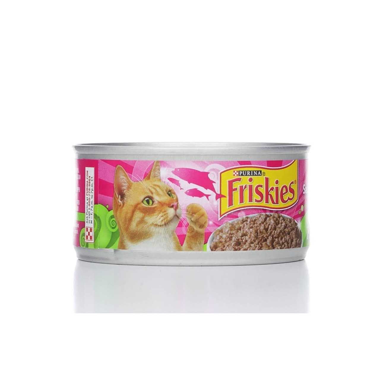 Purina Friskies Pate Salmon Dinner Wet Cat Food - Healthber