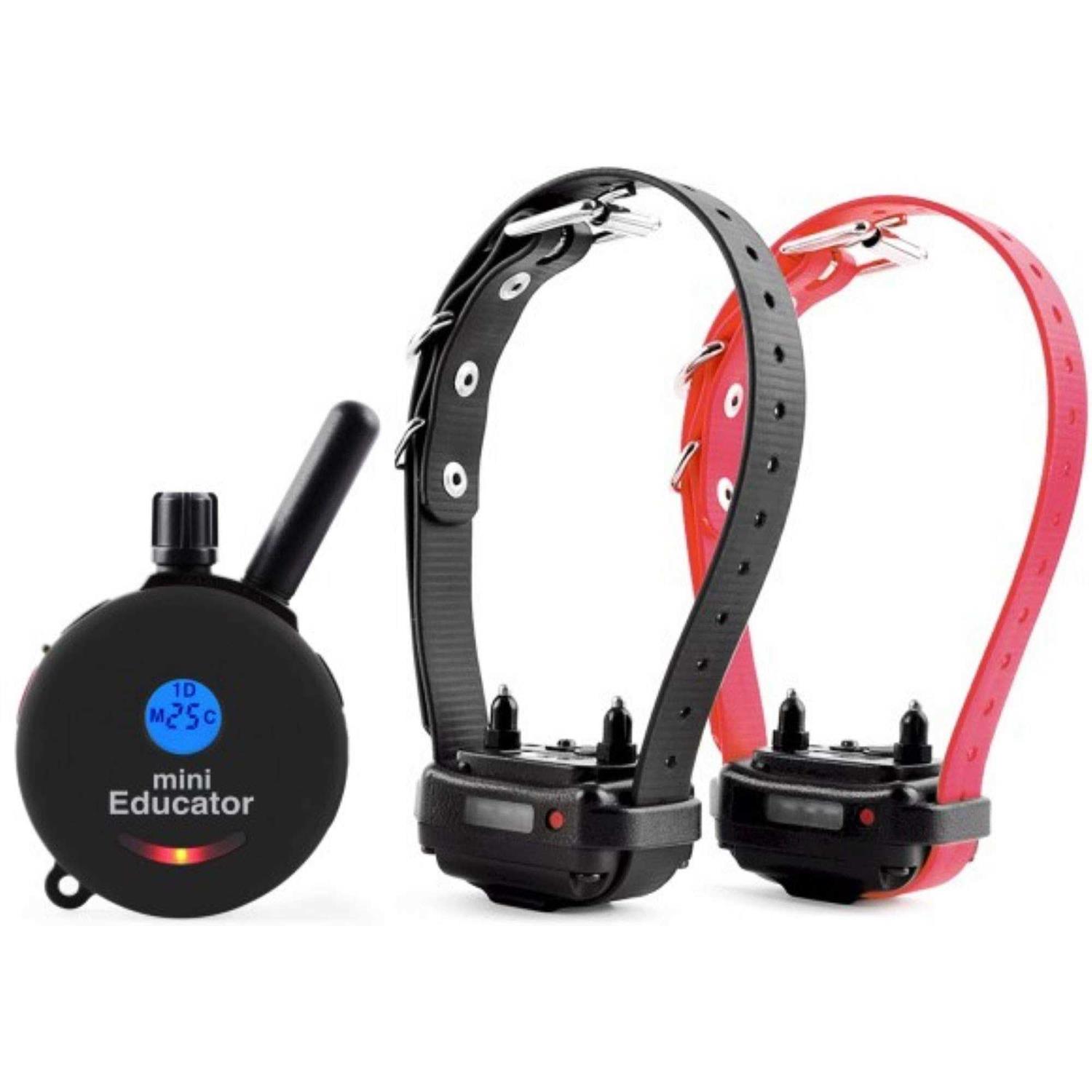 Mini Educator E-Collar ET-300 ET-302 Dog Training Collar System with Remote - Healthber