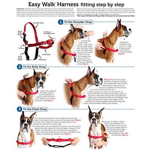 PetSafe Easy Walk Dog Harness - Healthber