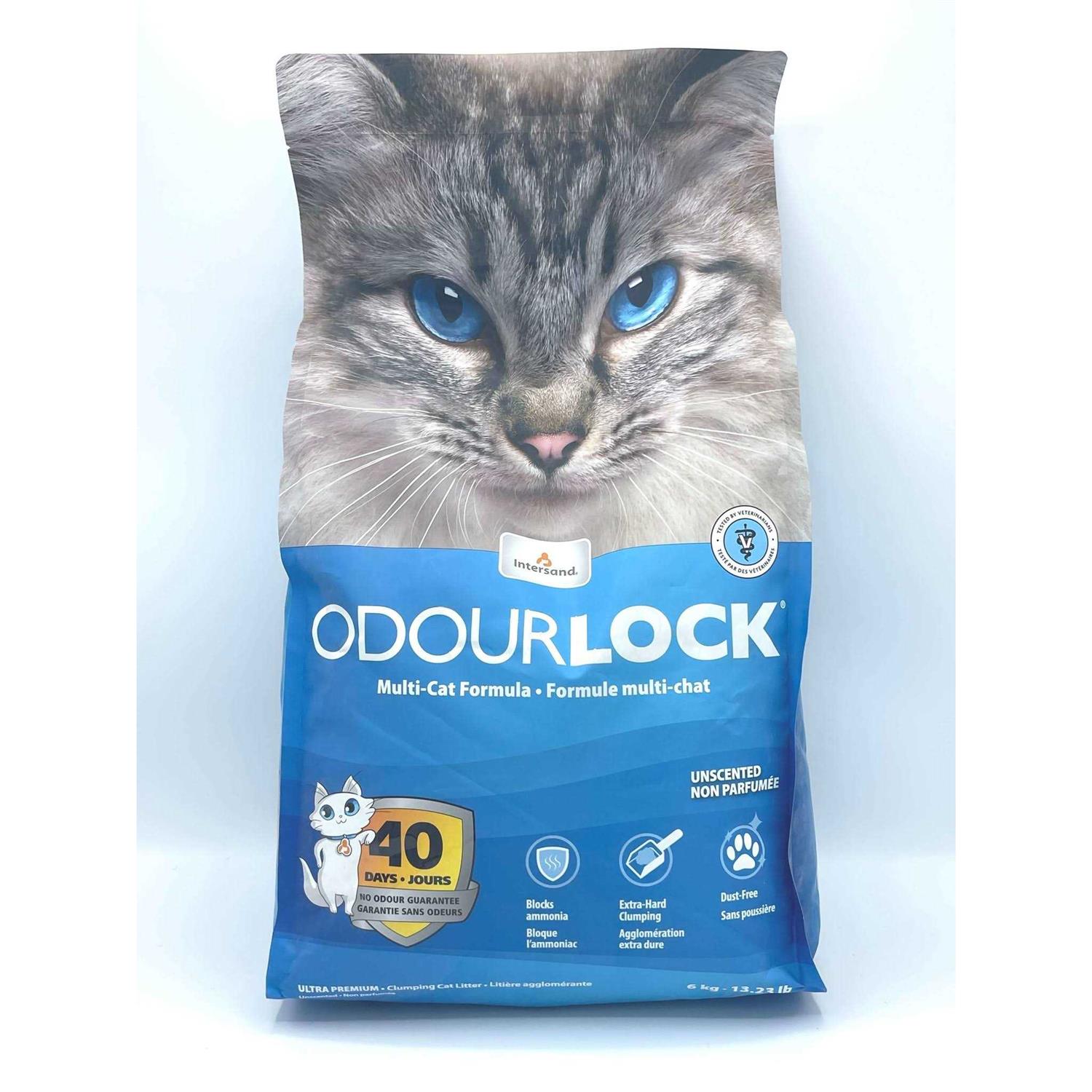 Intersand Cat Litter Odorlock - Healthber