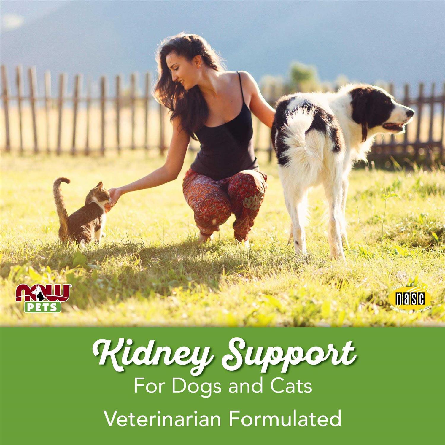 NOW Pets Kidney Support for Dogs/Cats - Healthber