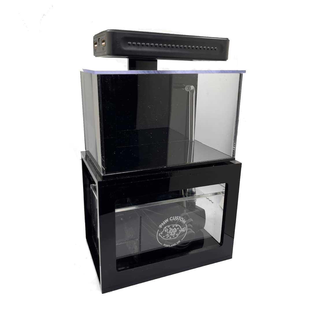 PNW Custom Micro Reef-Ready 40oz Desktop Aquarium - Healthber