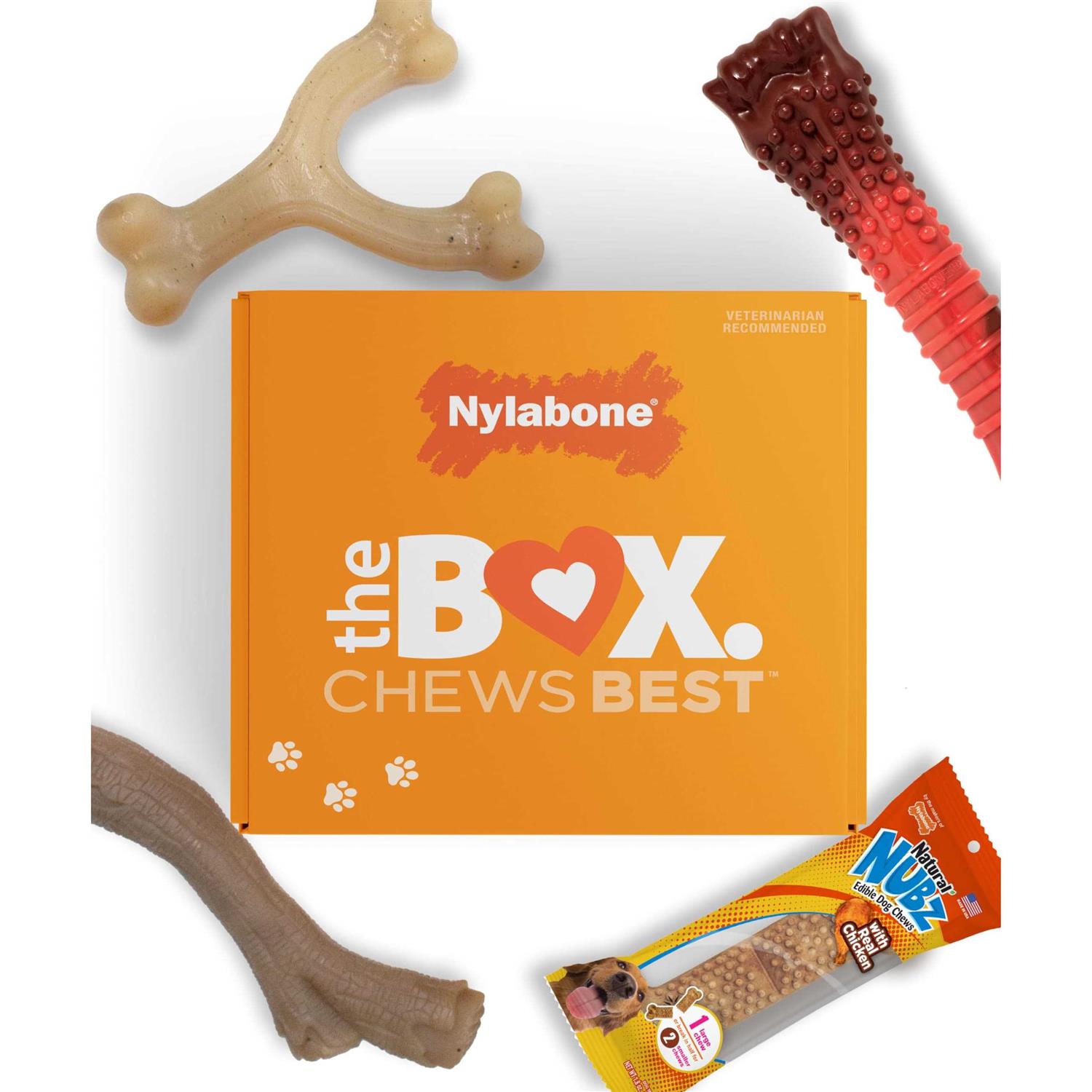 Nylabone The Box Chew Toy & Treat Gift Box Dogs - Healthber
