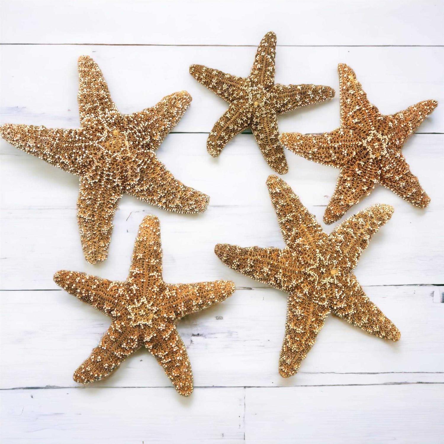 Tumbler Home Sugar Starfish 4 6 inch Large Starfish Sea Star Starfish Decor - Healthber