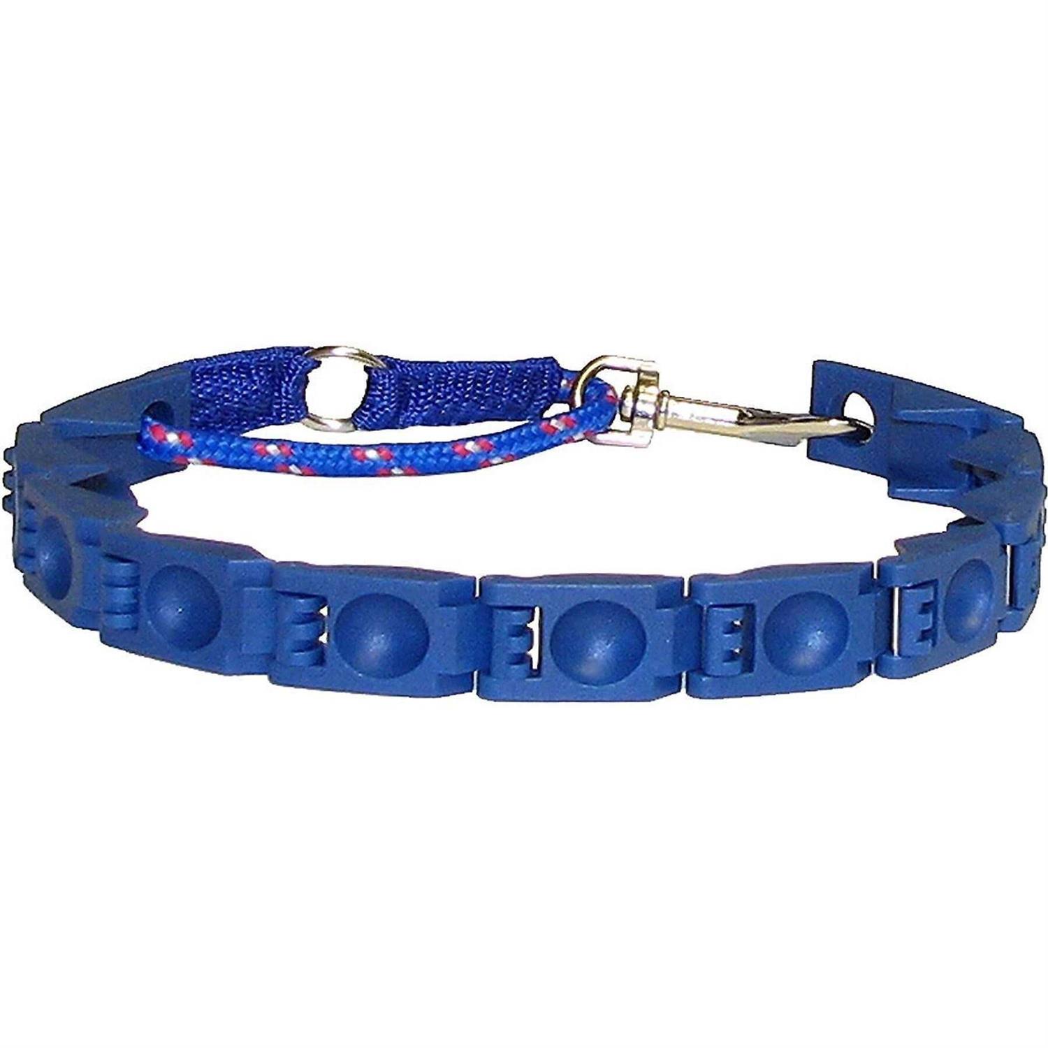 The Perfect Dog Command Training Dog Collar, Medium/Large - Healthber