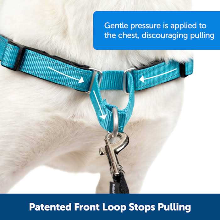 PETSAFE Easy Walk Harness - Healthber