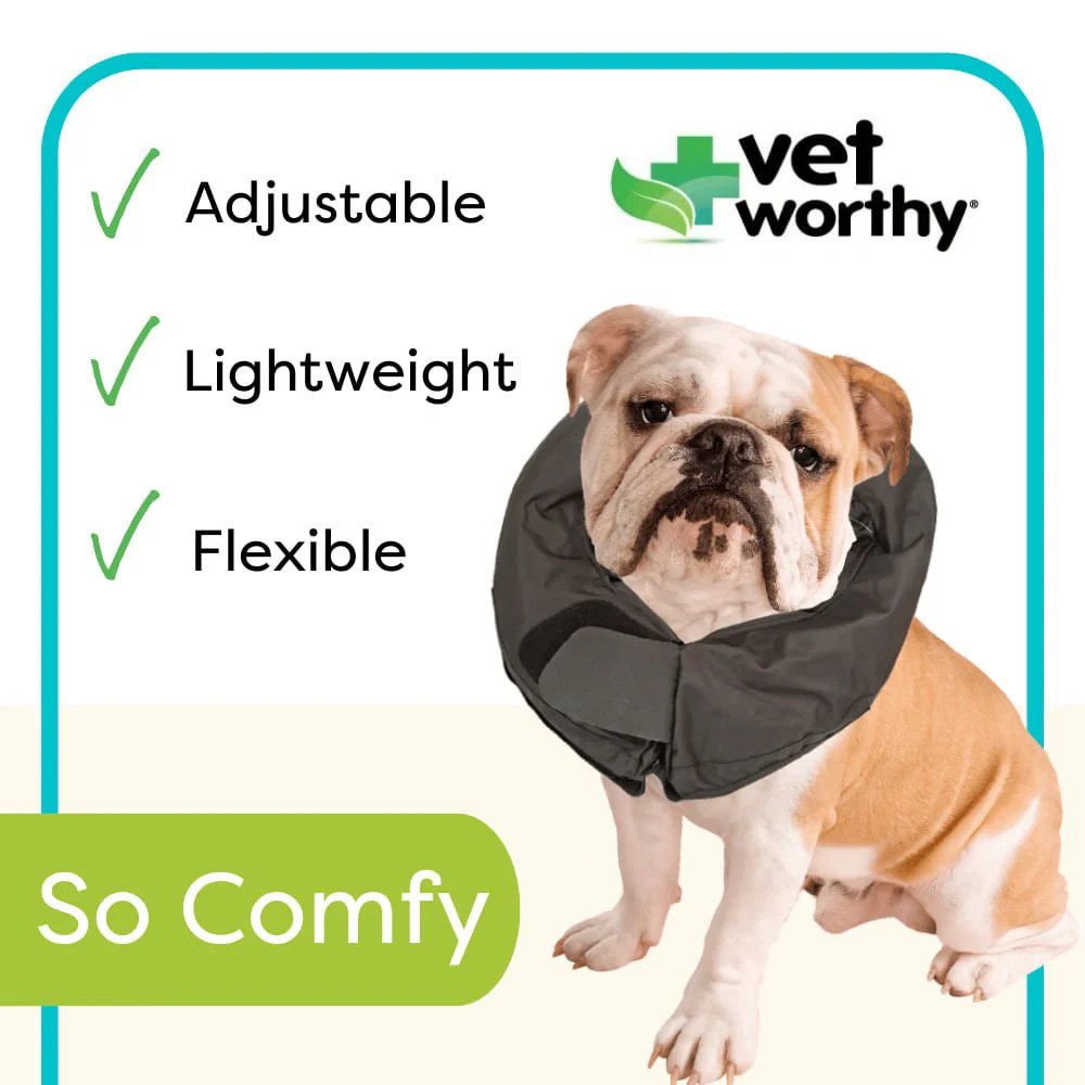 Vet Worthy Inflatable Collar, Black - Healthber