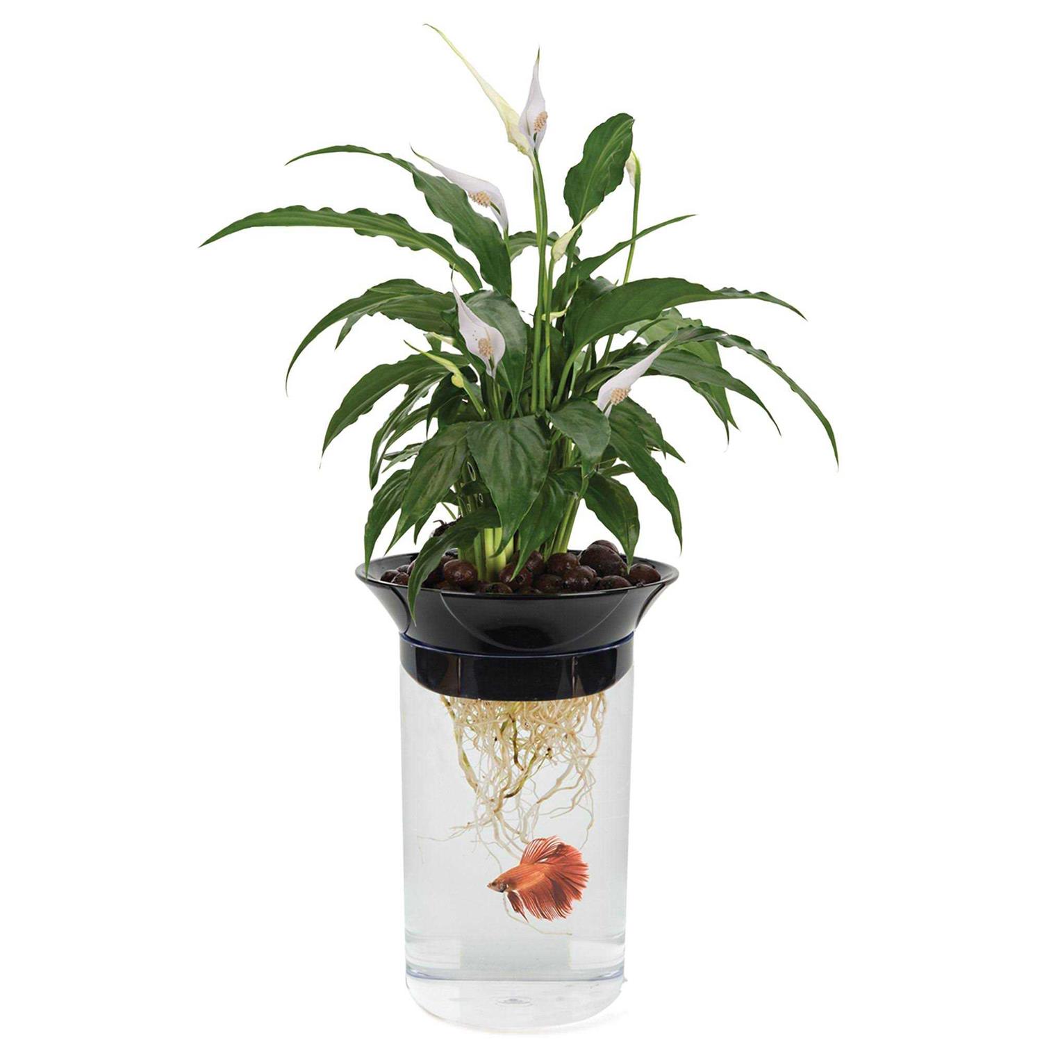 Penn Plax Nature’s Aqua-Ponic Planter & Fish Habitat - Healthber