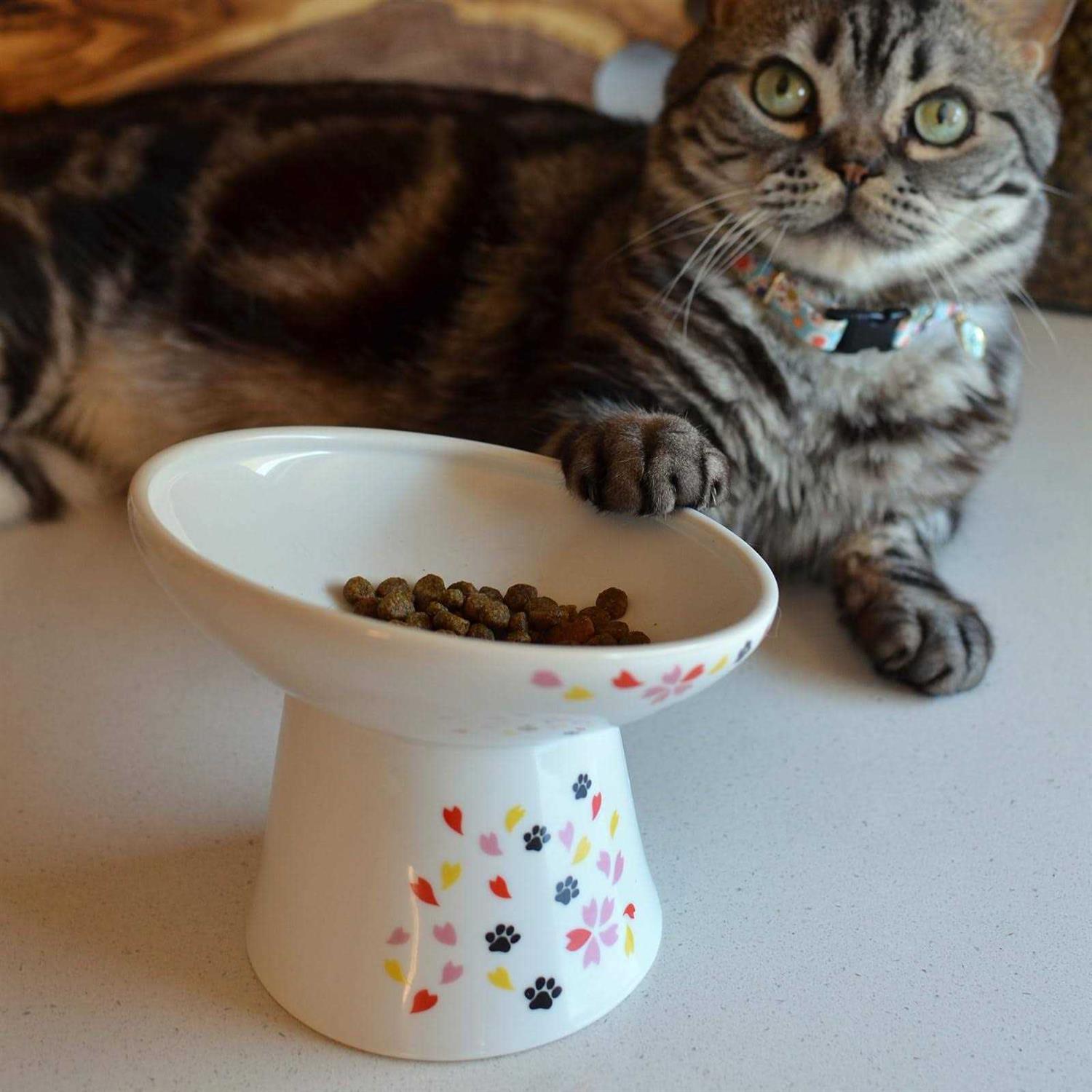 Necoichi Extra Wide Raised Cat Food Bowl - Healthber