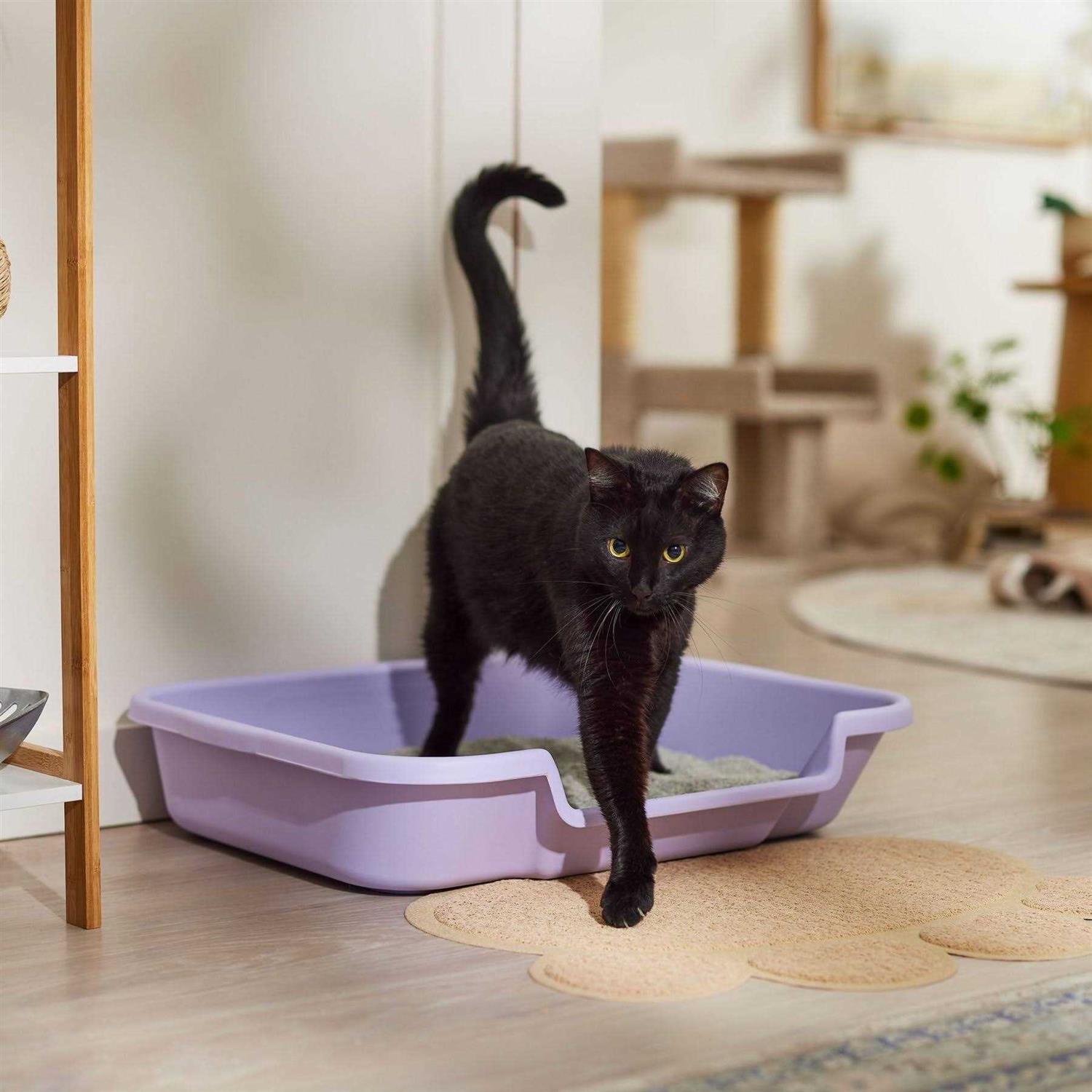 Kitty Go Here Senior Cat Litter Box - Healthber