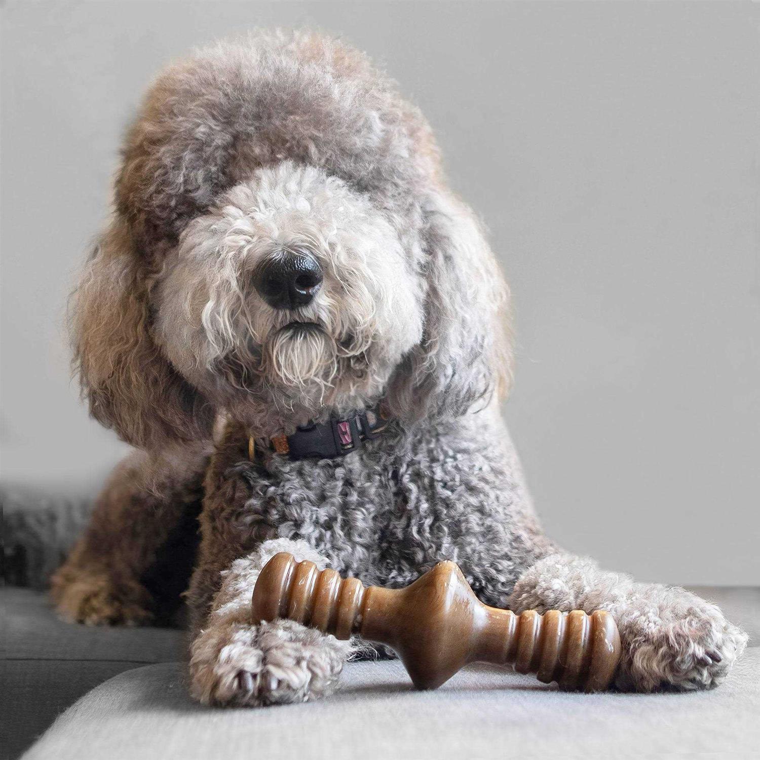 Benebone Chicken Zaggler Dog Chew Toy - Healthber