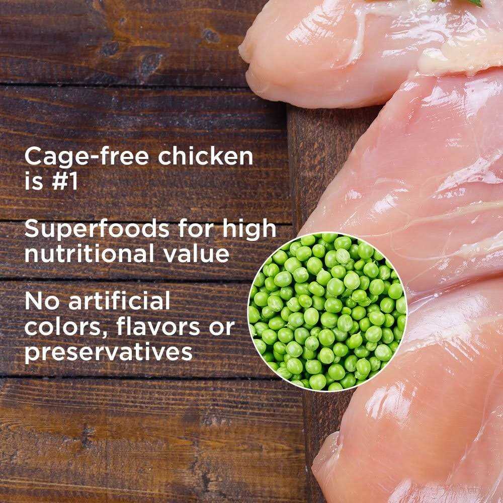 Diamond Naturals adult Dogs and Puppies Canned Food - Healthber