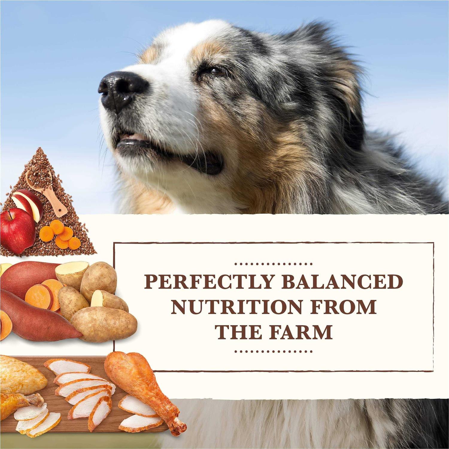 Whole Earth Farms Grain Free Chicken Turkey Recipe Dry Dog Food - Healthber