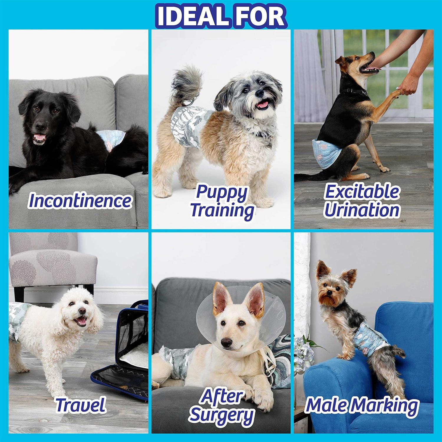 Hartz Disposable Male Dog Wraps Size - Healthber