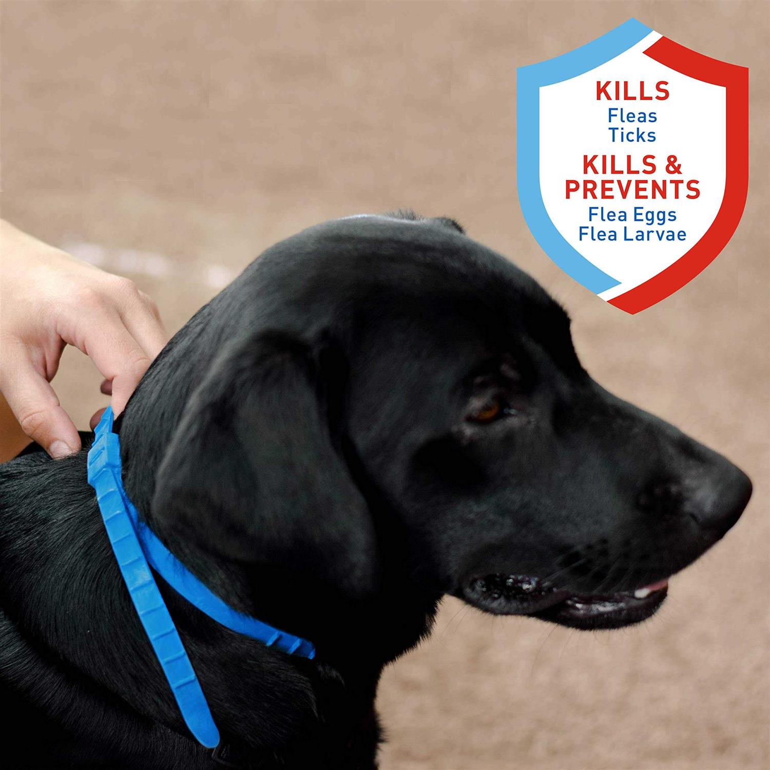 Adams Flea and Tick Collar For Dogs - Healthber