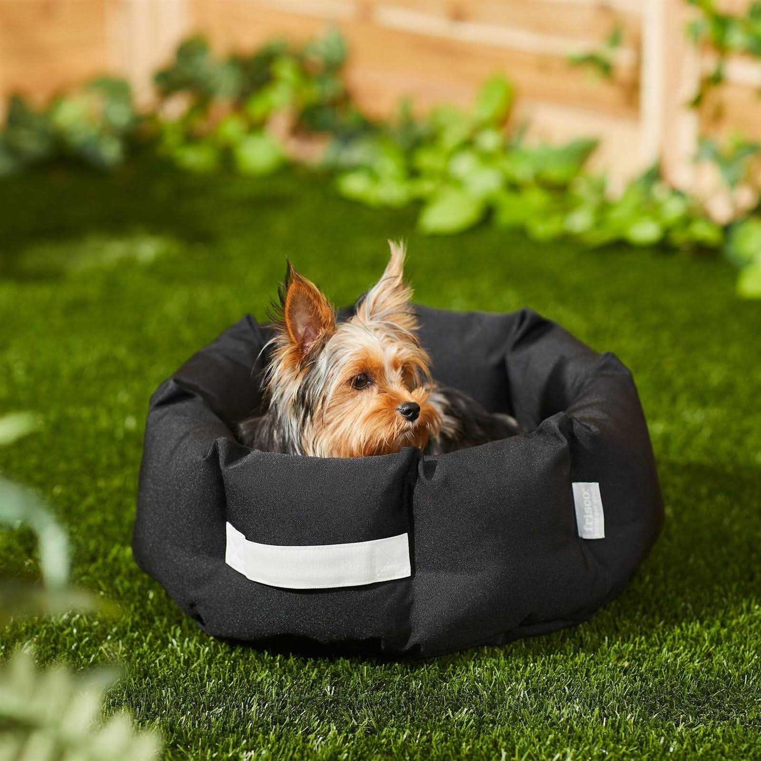 Frisco Indoor/Outdoor Bolster Cat & Dog Bed - Healthber