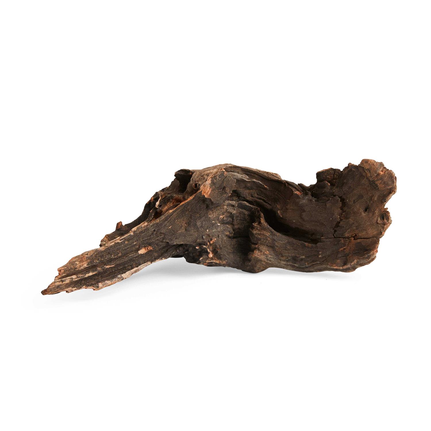 Imagitarium Driftwood - Healthber
