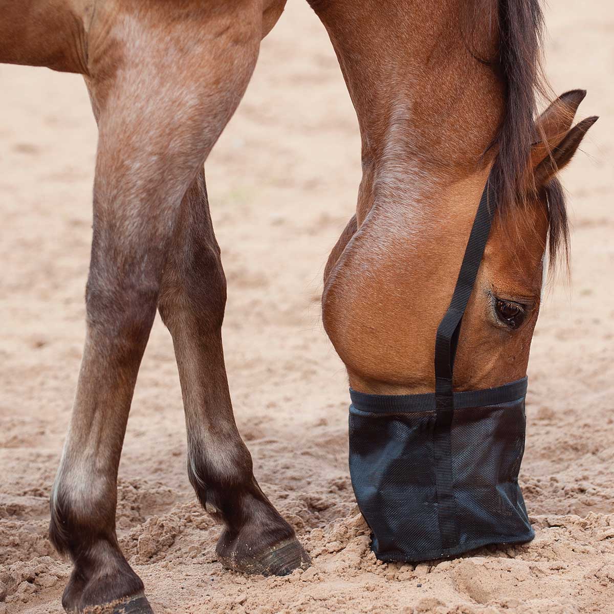 Feed Rite Horse Feed Bag - Healthber