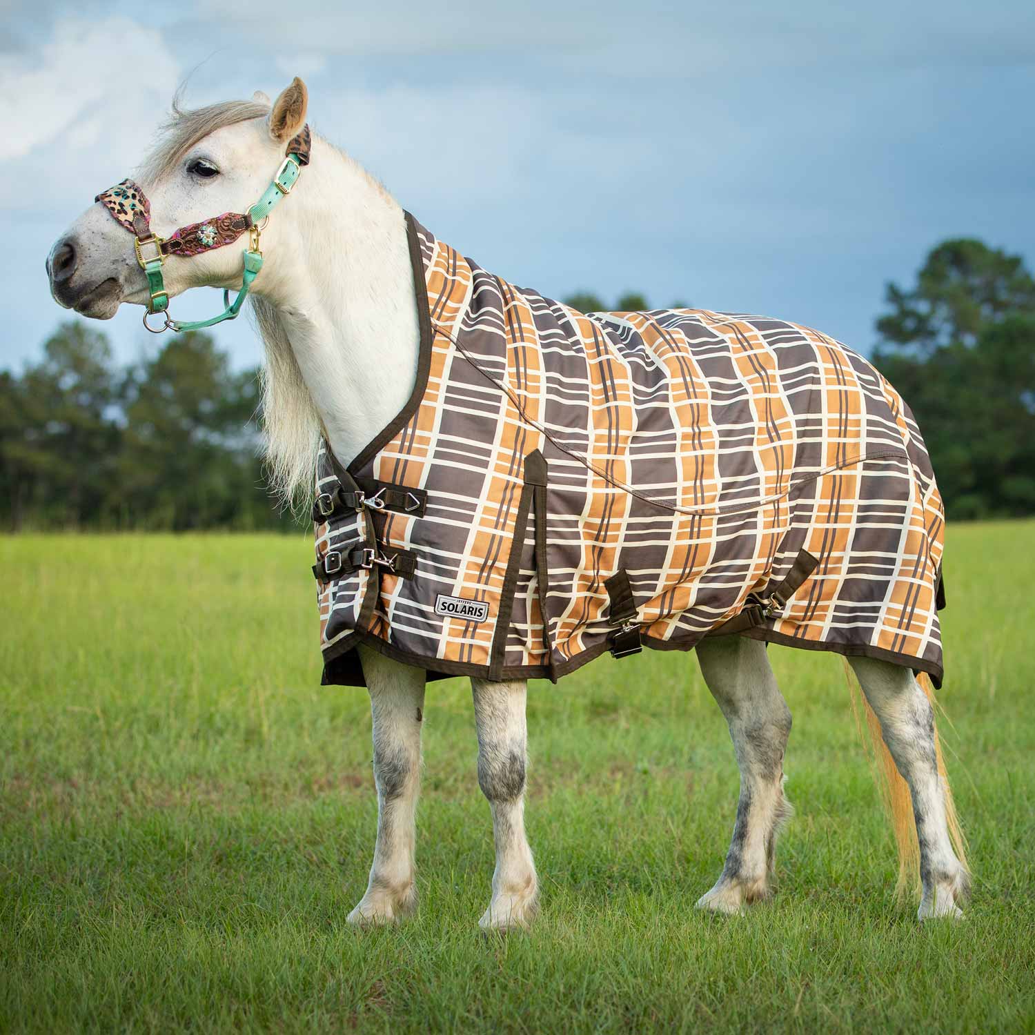 Pony Poppins Solaris Extended Neck Horse Turnout Blanket, Brown & Cream Plaid - Healthber